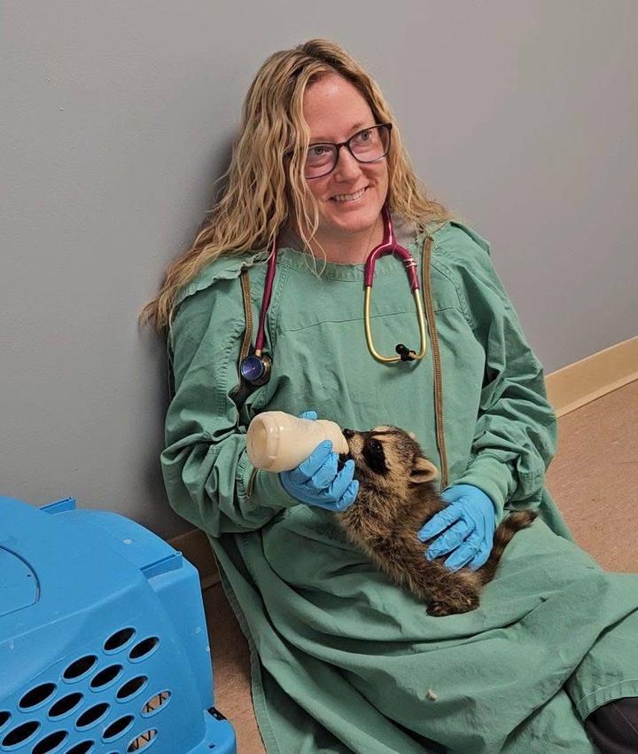 Rebecca Lussier DVM
