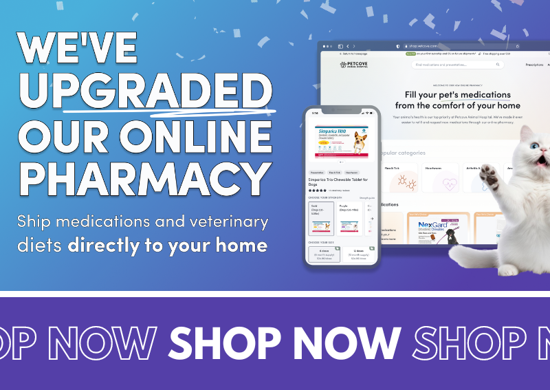 Carousel Slide 1: Visit our new and improved online pharmacy!